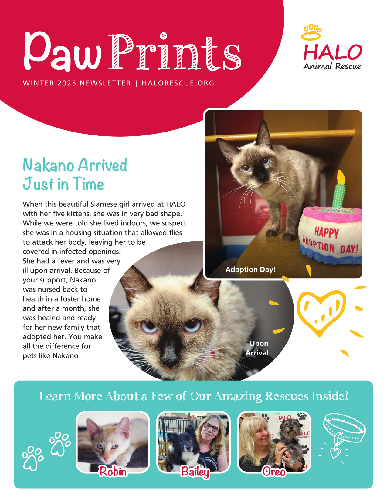 You are currently viewing 2025 Winter Newsletter