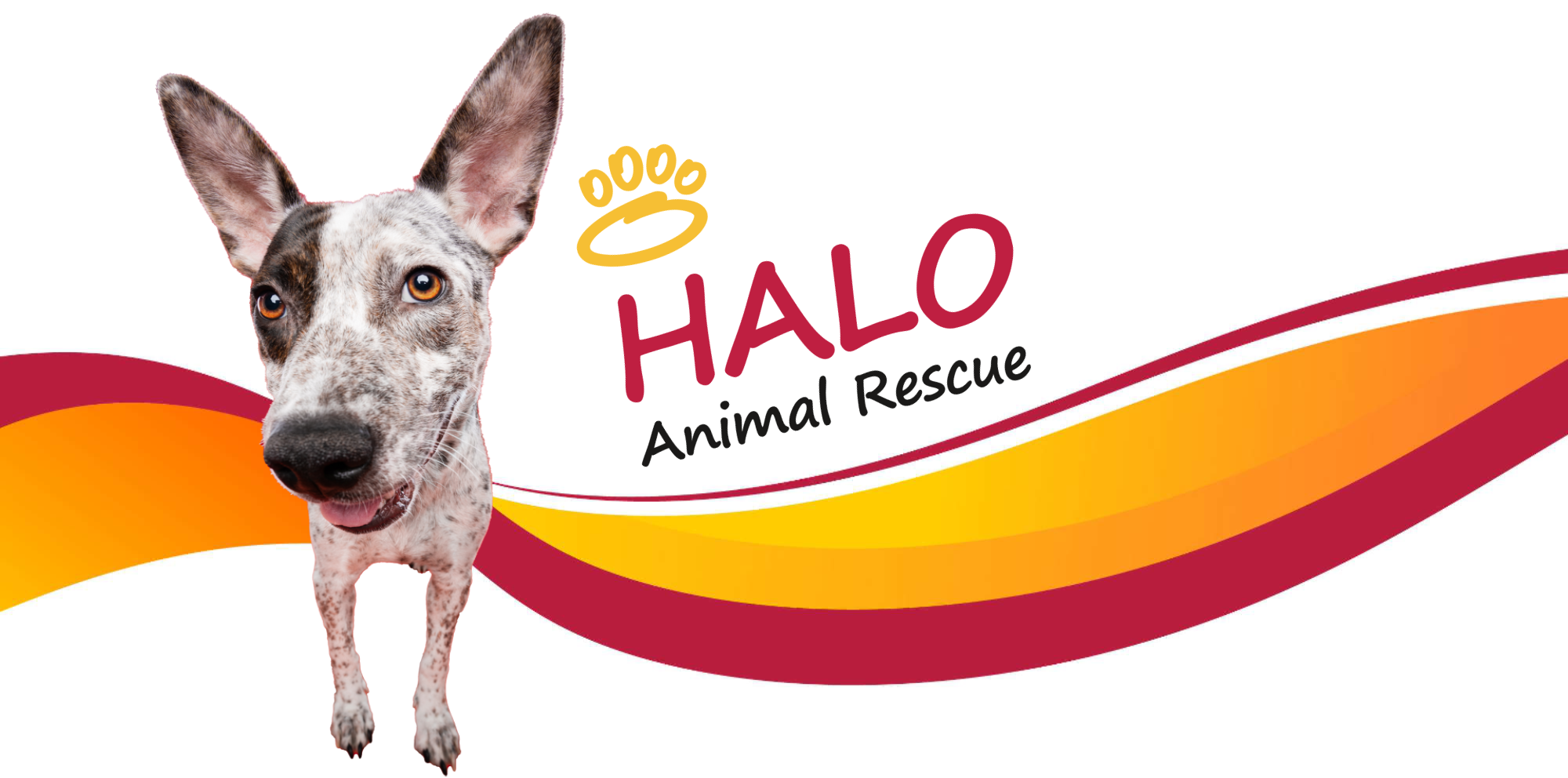 HALO Homepage Banner