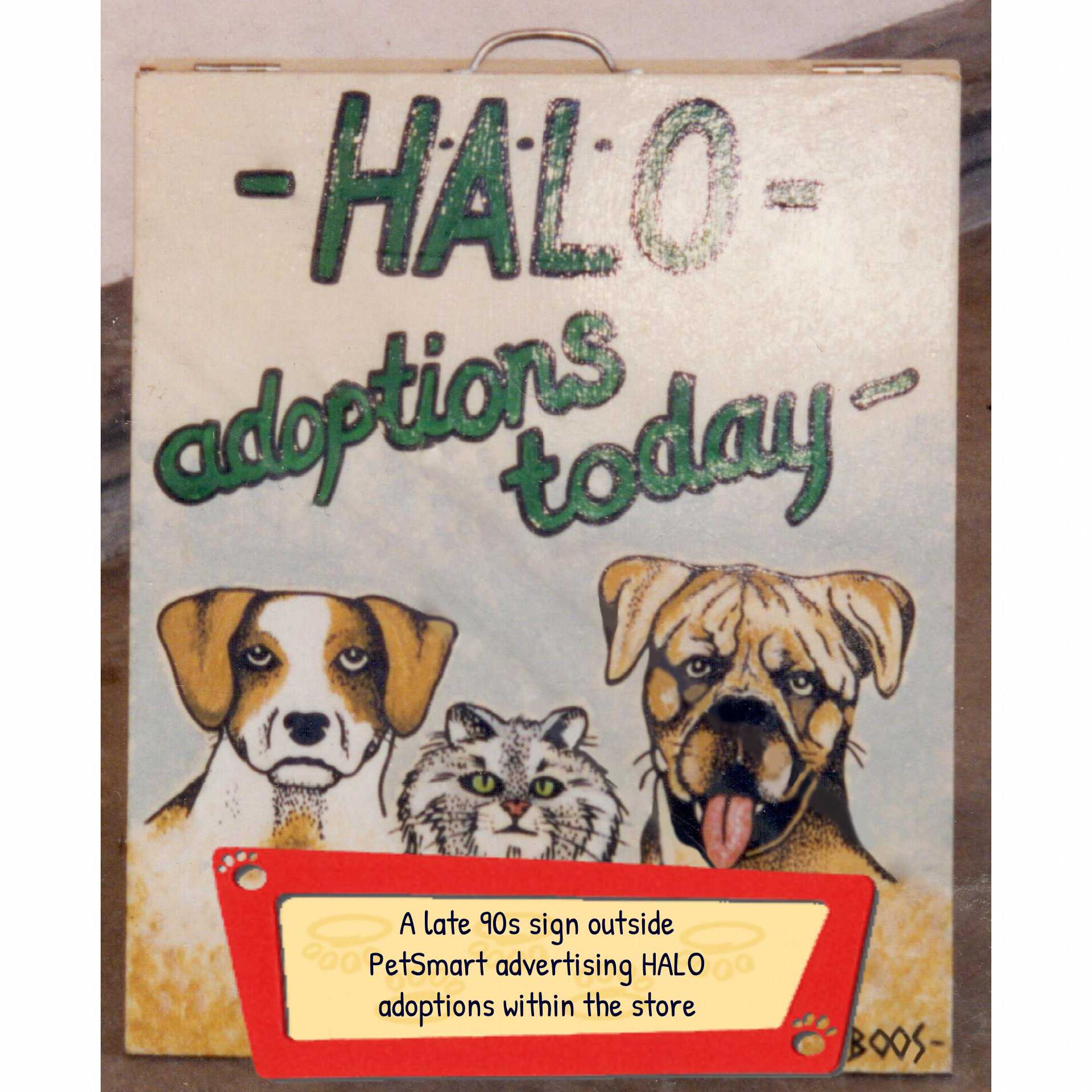 captioned-HALO-petsmart-adoptions-today-sign
