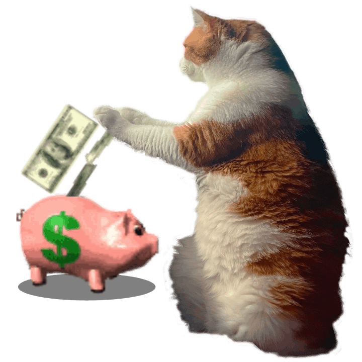 An edited photo of an orange tabby cat dropping dollar bills into a piggy bank