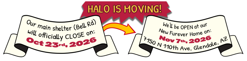 Our main shelter (Bell Rd) will officially CLOSE on: Oct 23rd, 2026 We'll be OPEN at our New Furever Home on : Nov 7th, 2026 at 7150 N 110th Avenue, Glendale, AZ